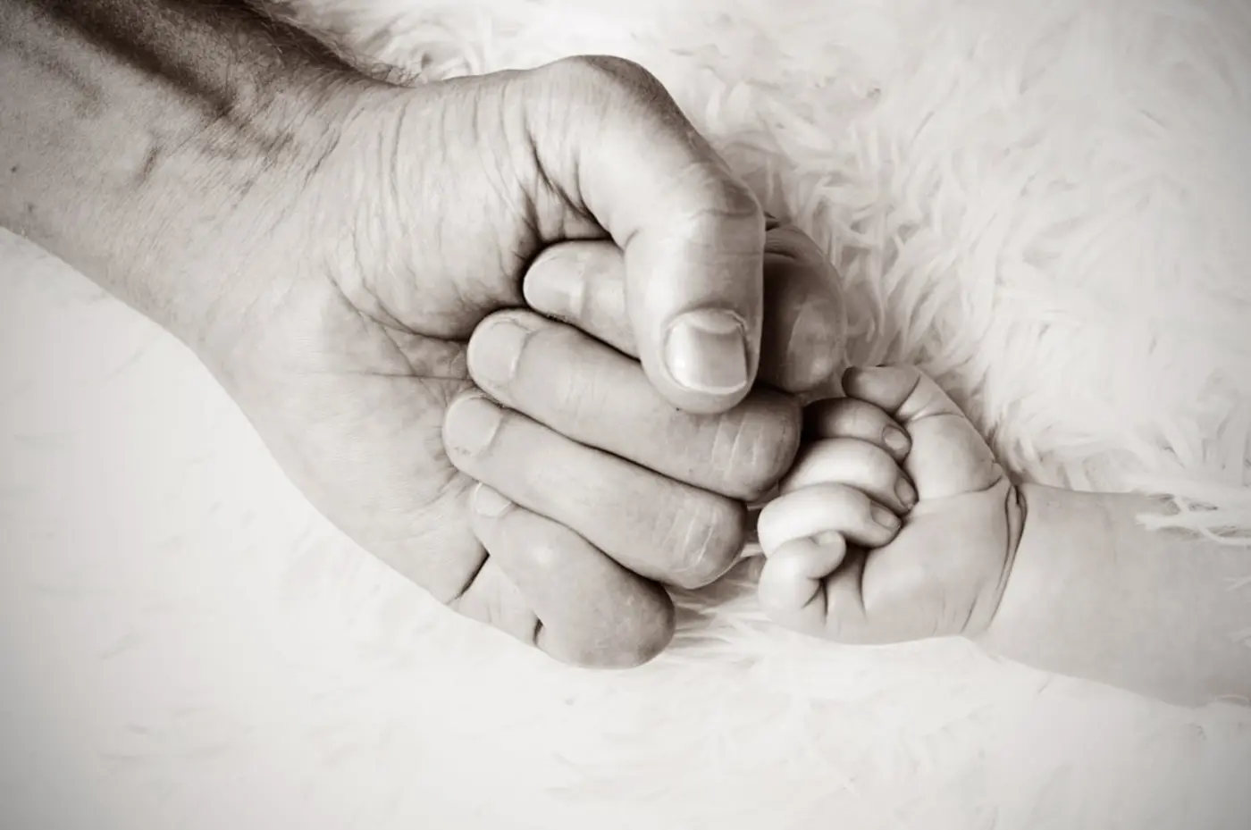 american dads became the parents their fathers never were