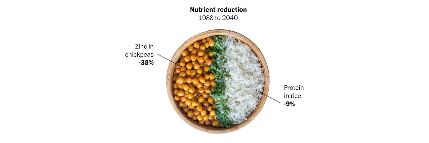 the invisible force making food less nutritious