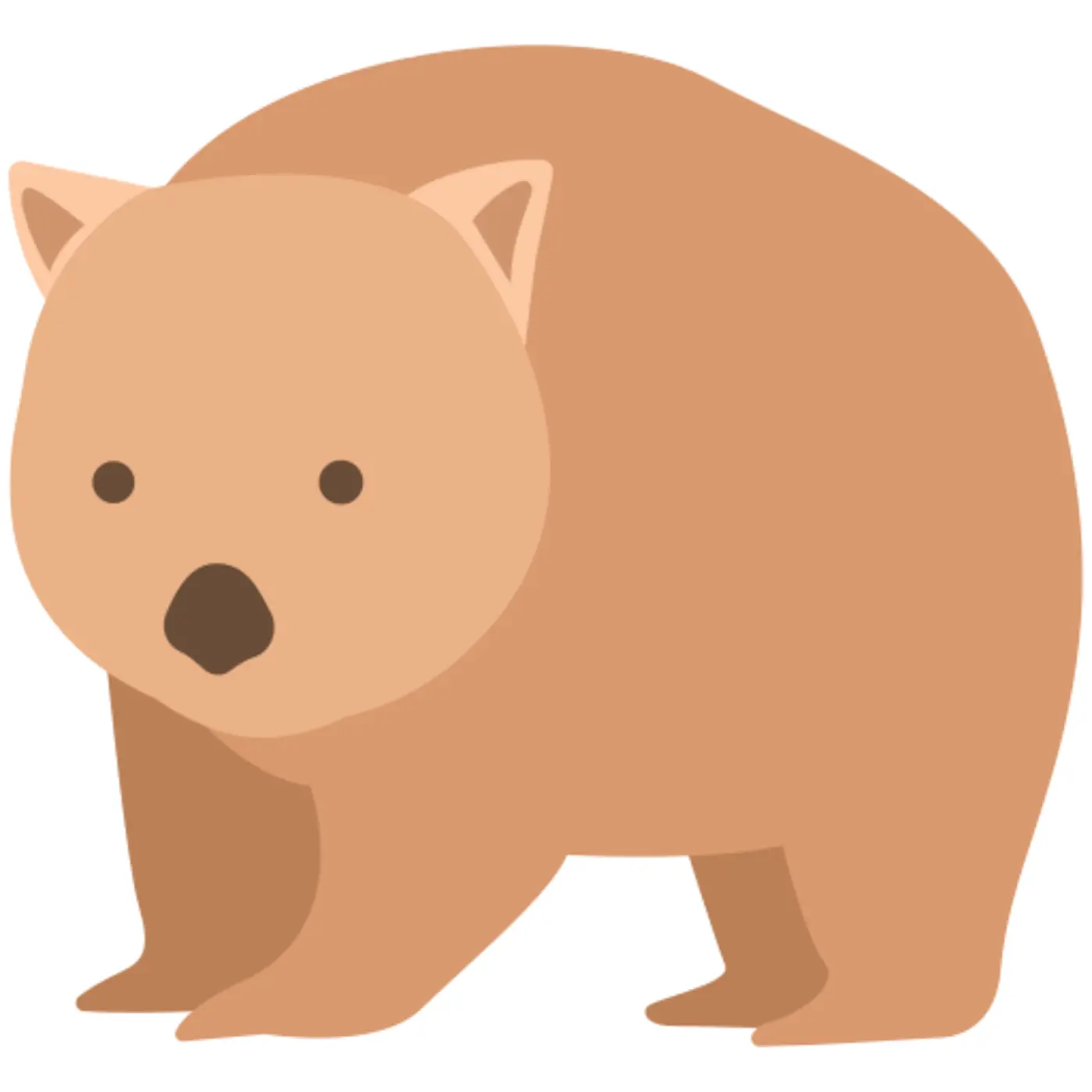 a year on an ereader