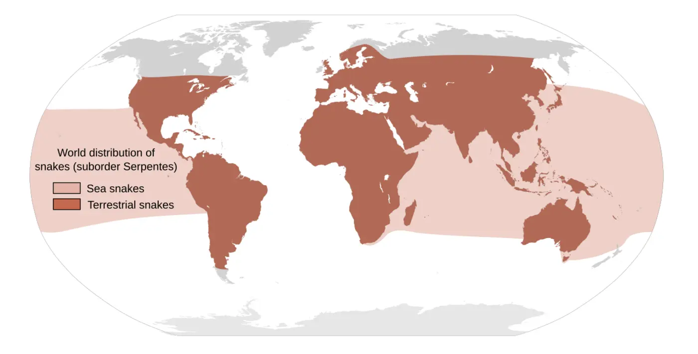 epidemiology of snakebites