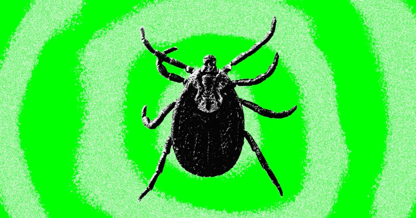 an unreleased lyme disease vaccine is sparking false conspiracy theories