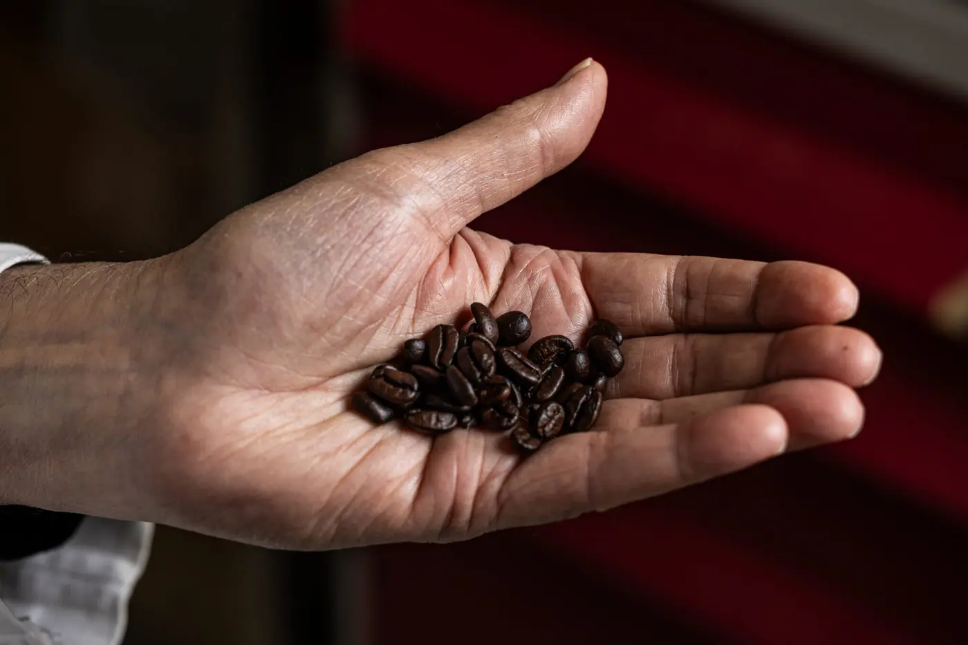 coffee doesnx27t just wake you upa biological pathway illuminates health effects