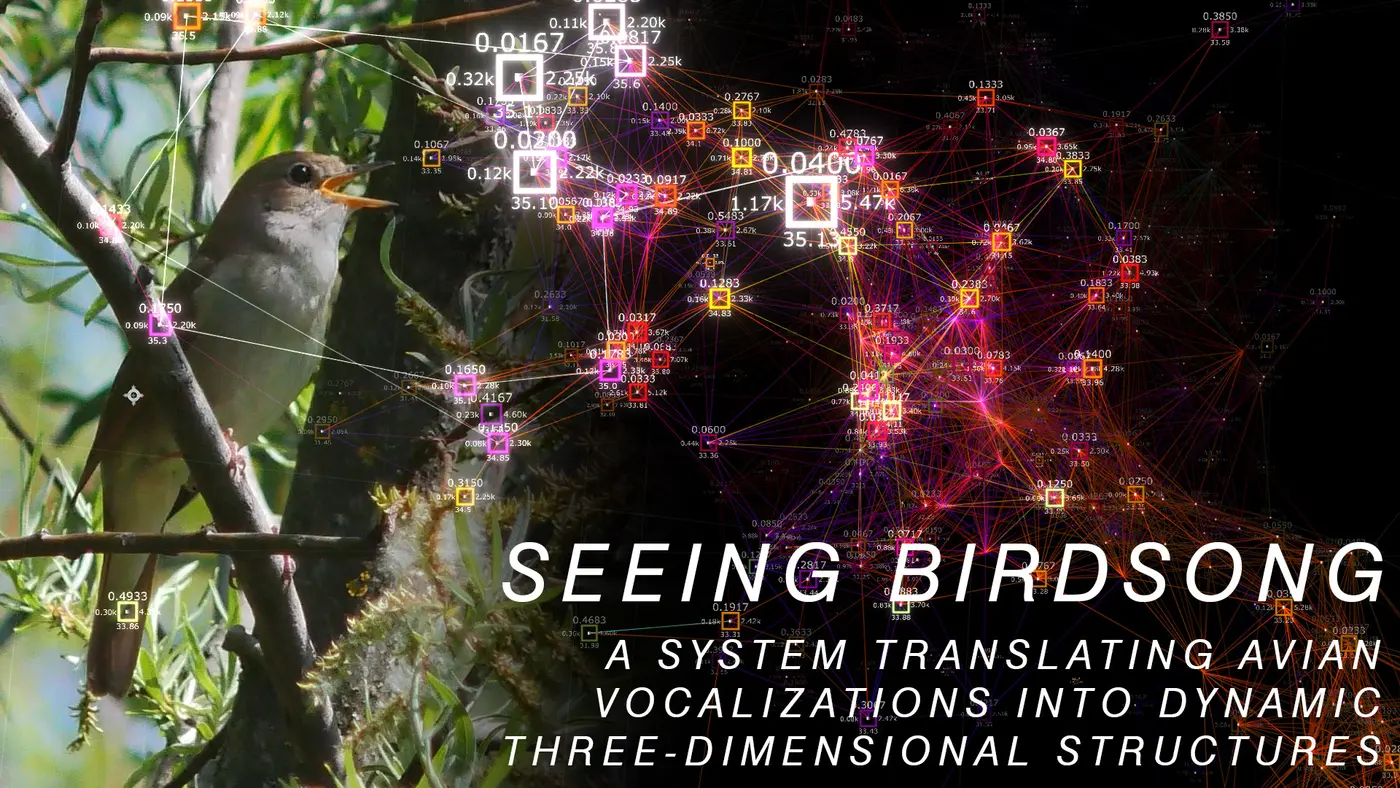 seeing birdsong