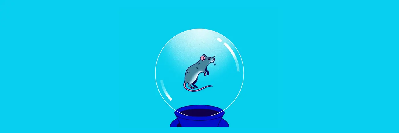 do we think too much about the future