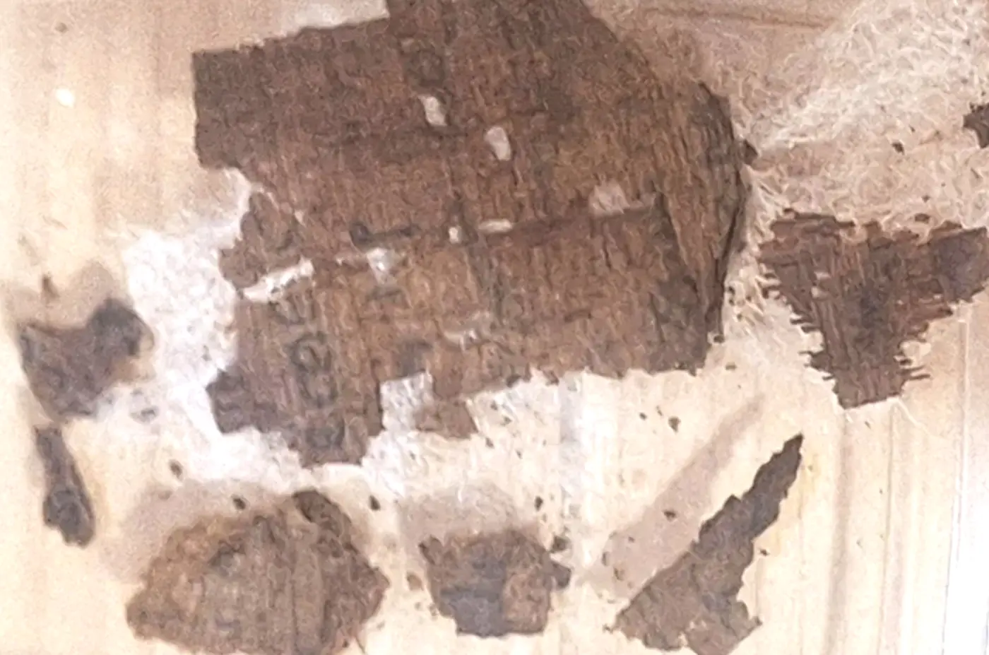 archaeologists find egyptian mummy buried with the x27iliadx27