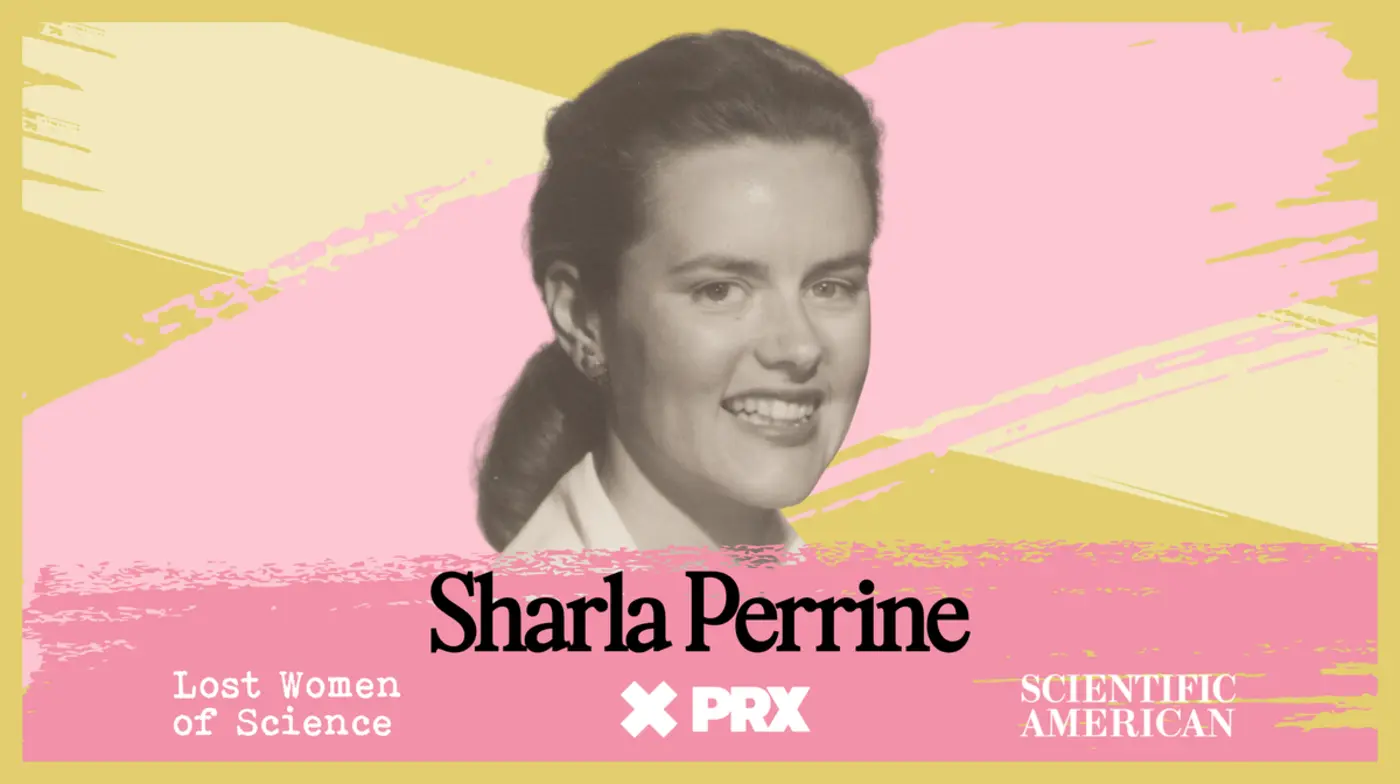 sharla boehm the programmer whose code underpins the internet