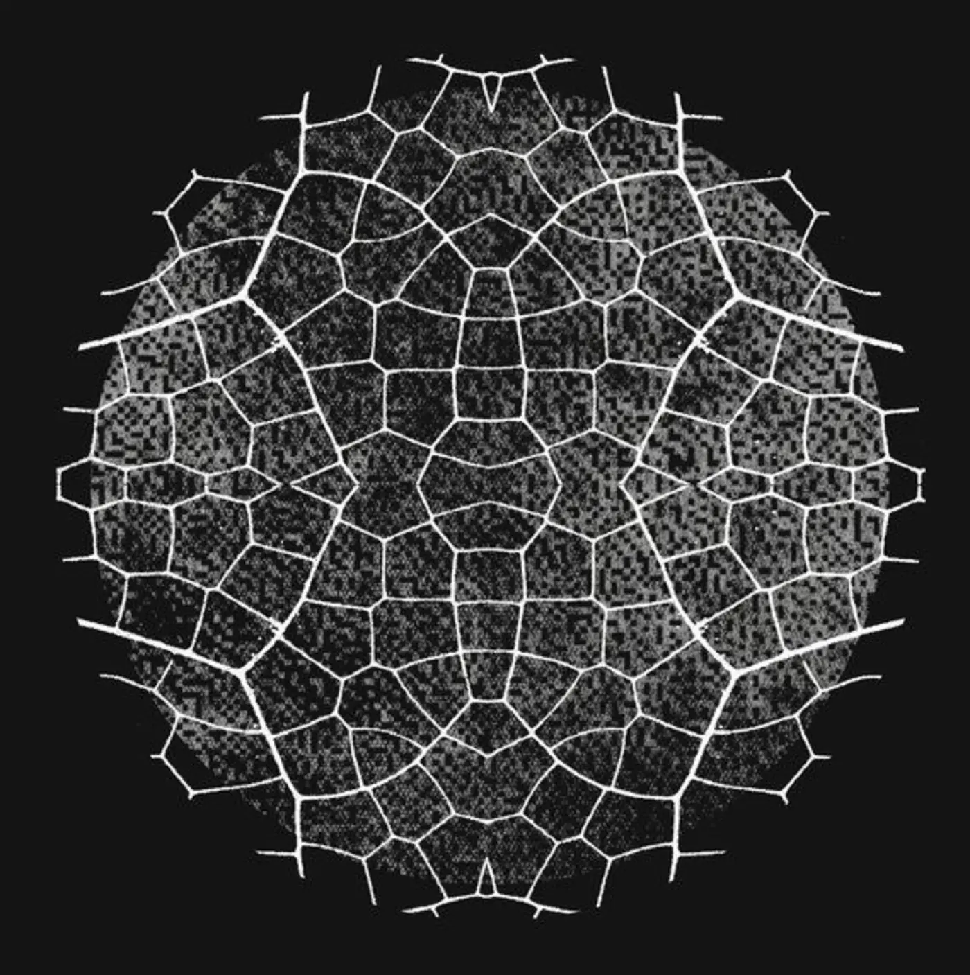 project glasswing an initial update
