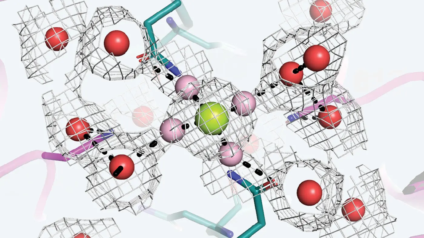 dehydrationx27s role in learning and memory