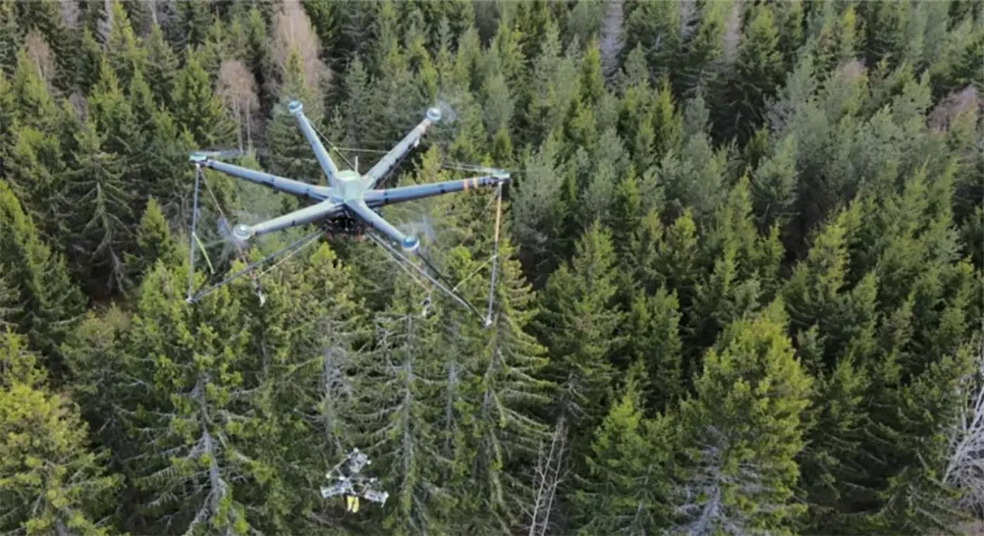 first drone tree harvest in a real forest