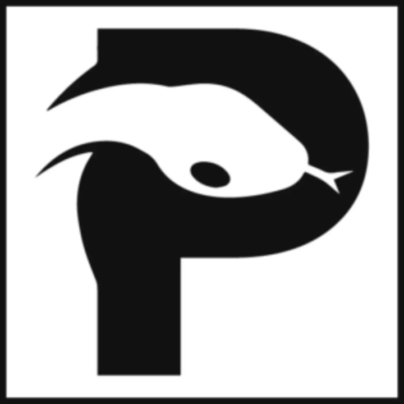 is python becoming pinyin