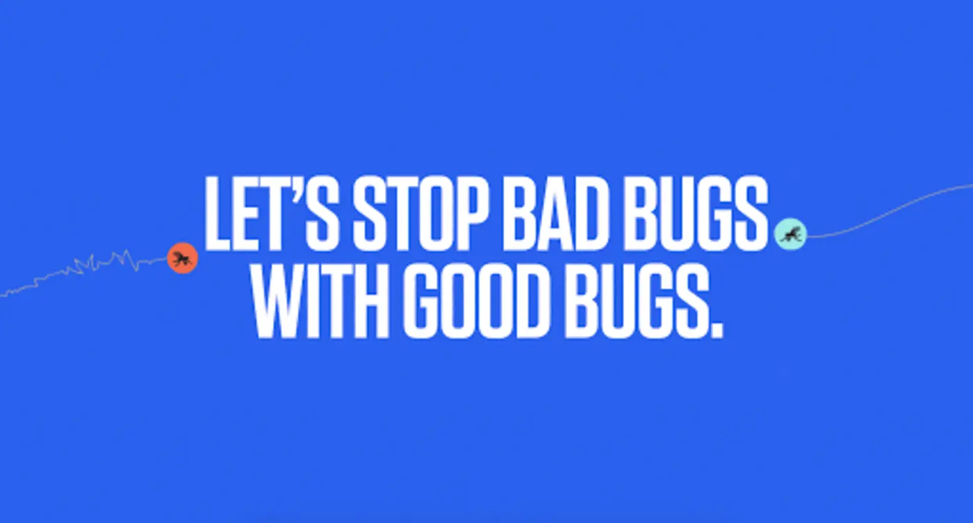 debug project
