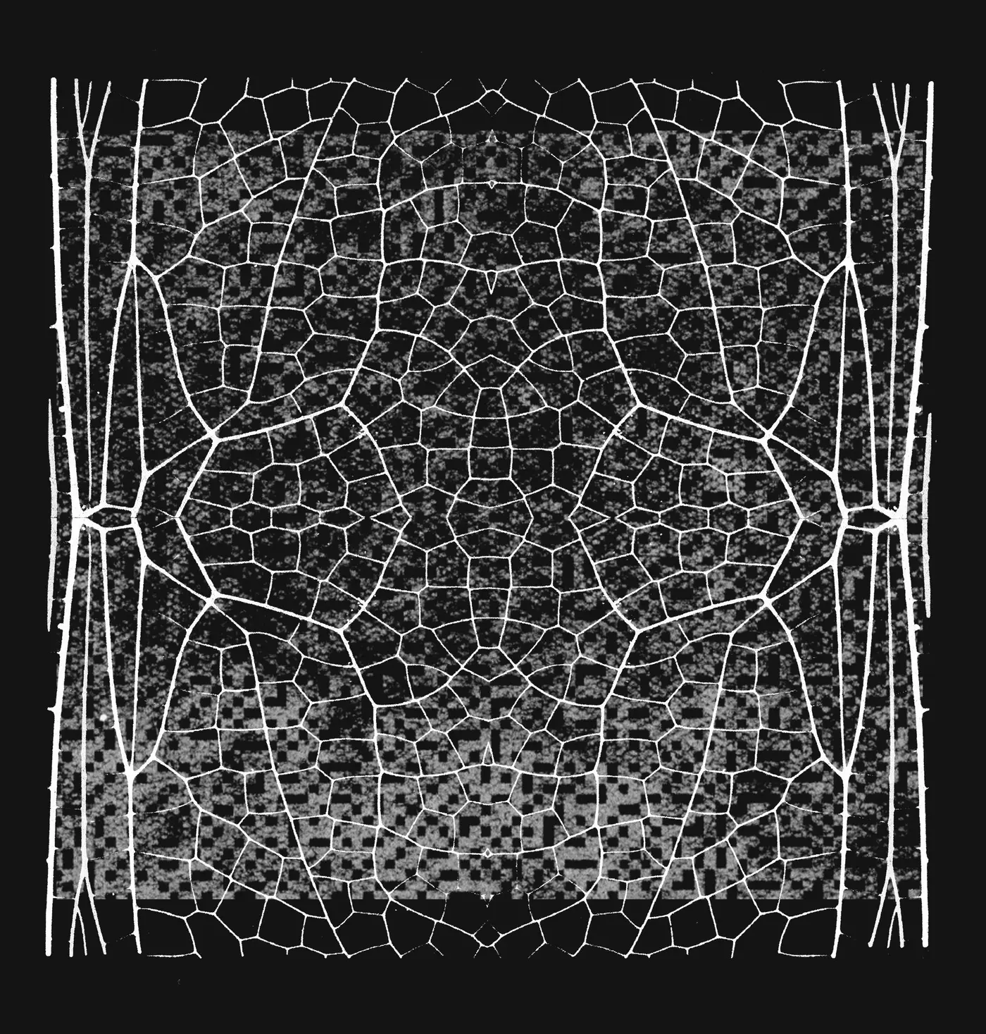 expanding project glasswing