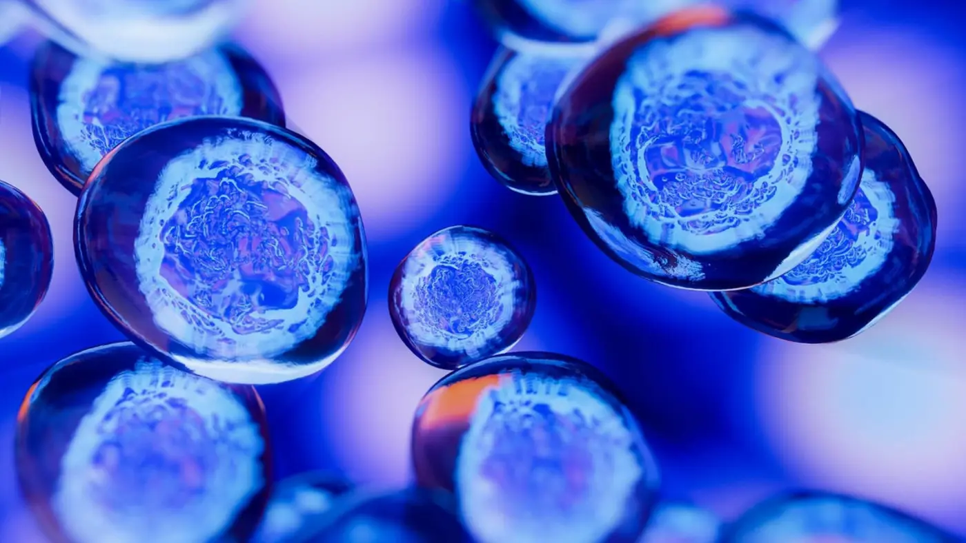 embryos shape their limbs a key discovery of quotgenetic brakesquot