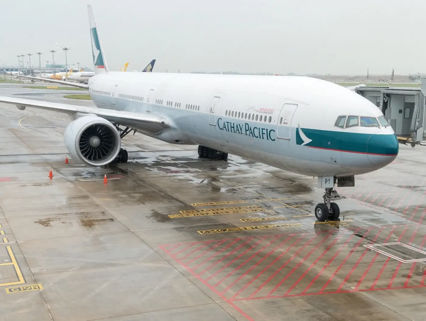 airlines uses ai to fake empathy rather than fix problems passenger sent prompt
