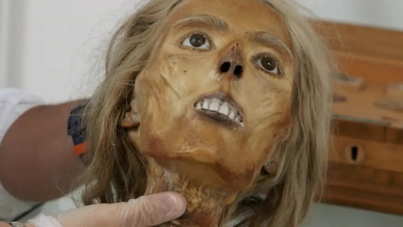 the alchemist of flesh the man who turned humans into stone2025
