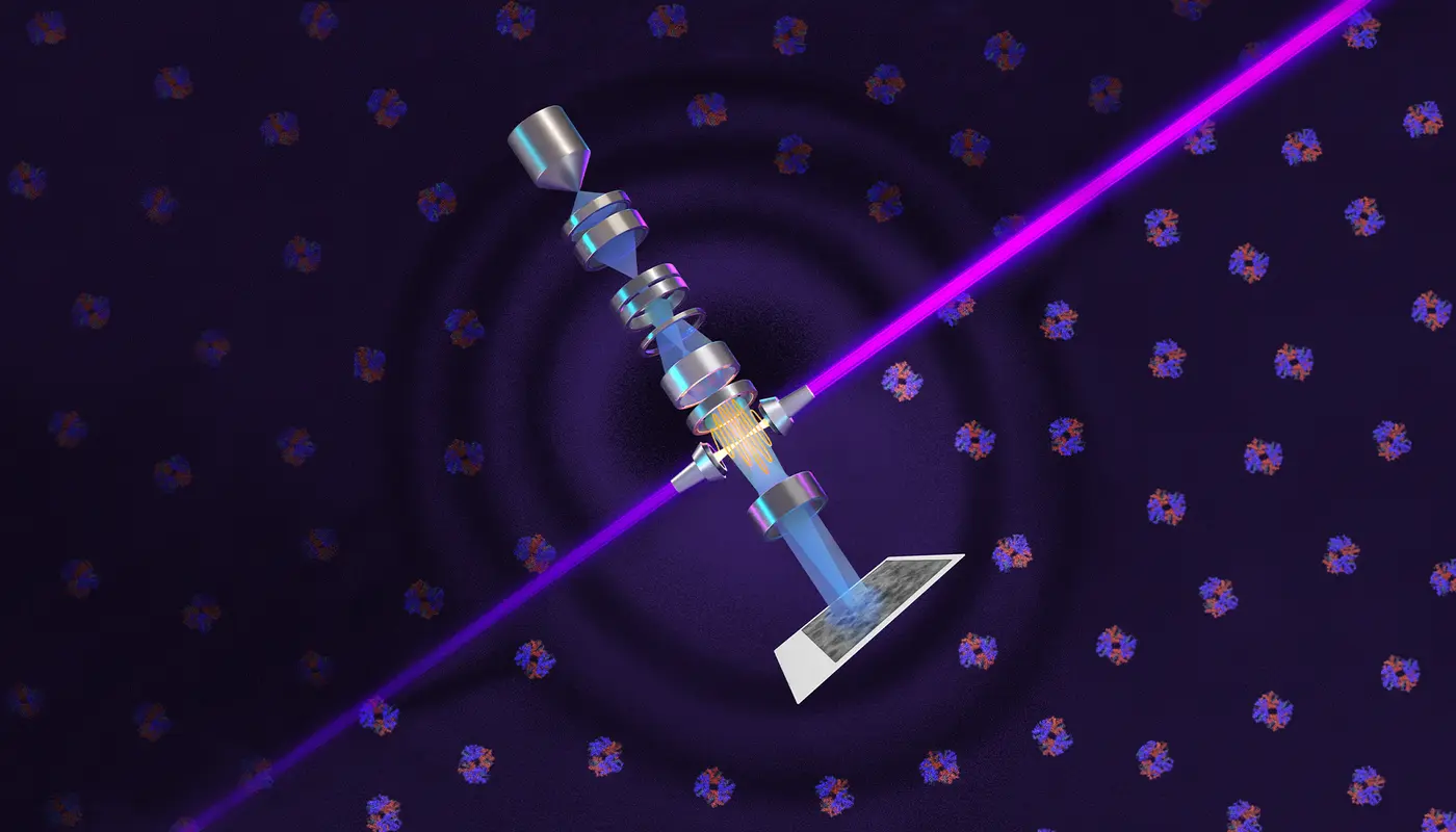a breakthrough in electron microscopy delivers sharper images of bodyx27s proteins