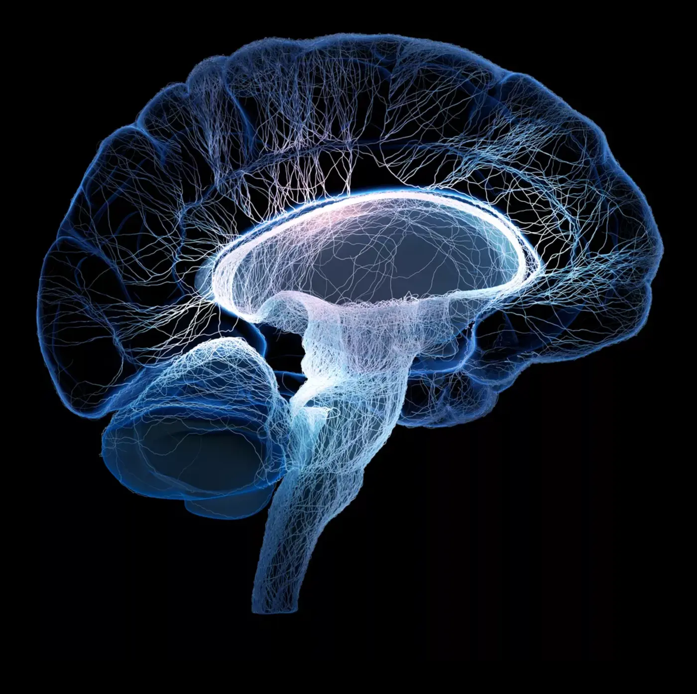 successful psilocybin treatment of alzheimer