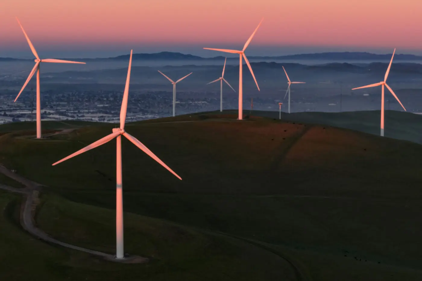 trump admin abandons fight against wind energy as clean energy output surges