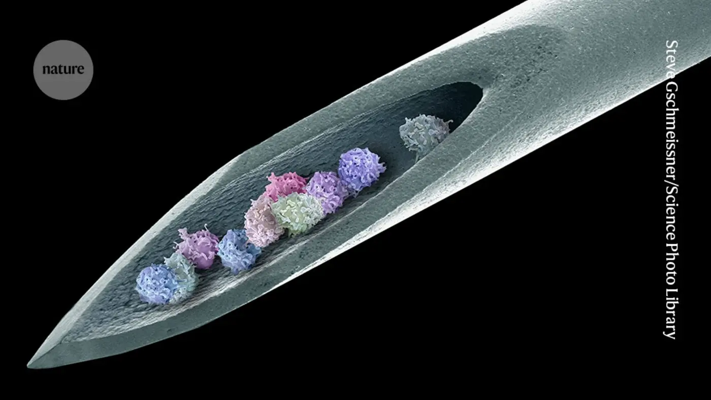 stem cells banish autoimmune disease for 15 years
