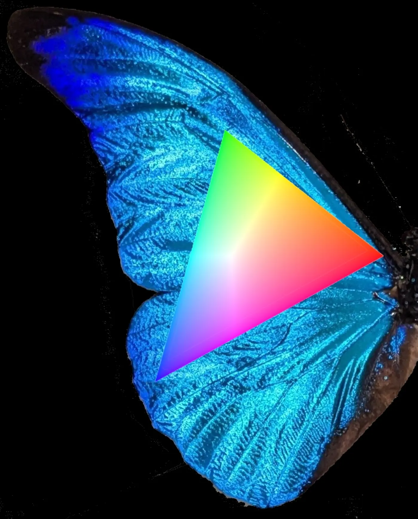 where to find the colors your screen canx27t show you