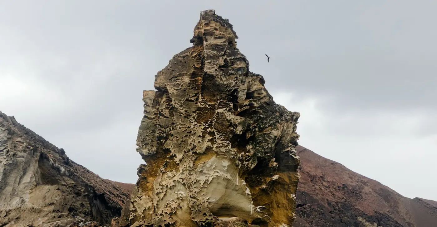 paradise revisited what darwin saw in the galpagos