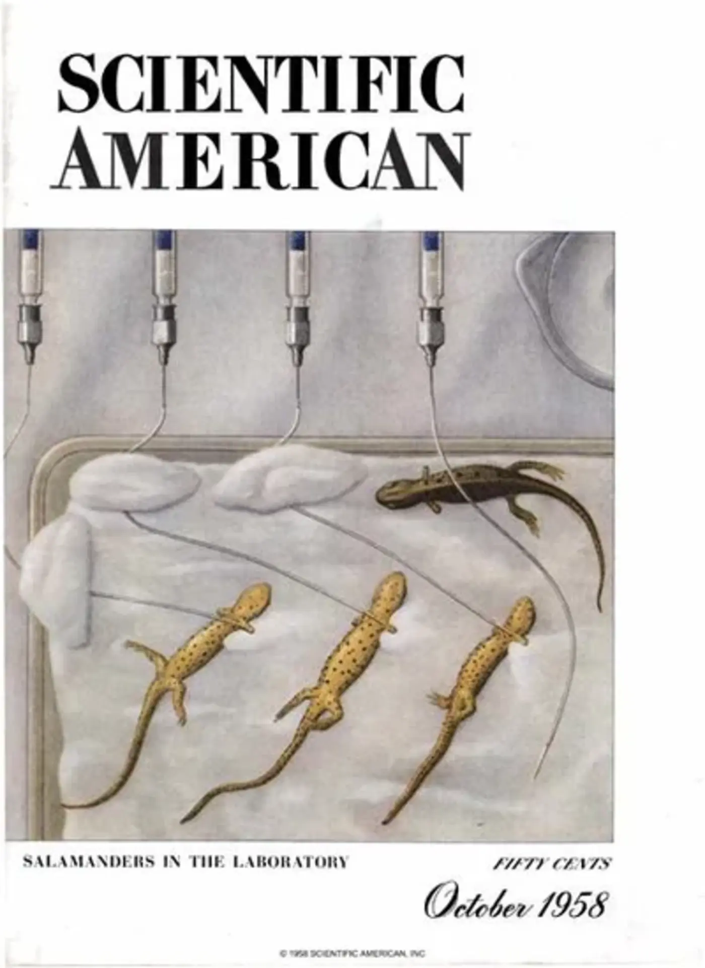 goodbye scientific american