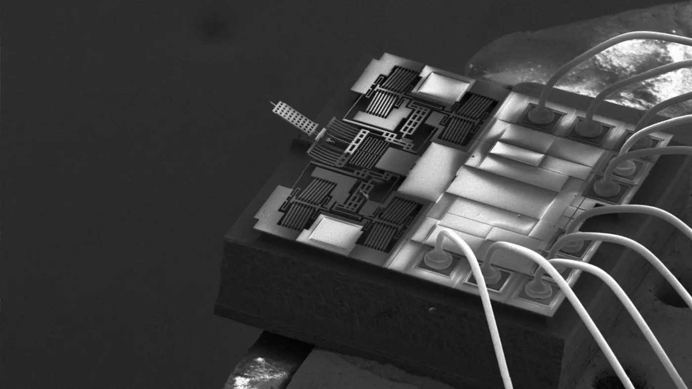 atomic force microscope highspeed video stainless etching bacteria and more
