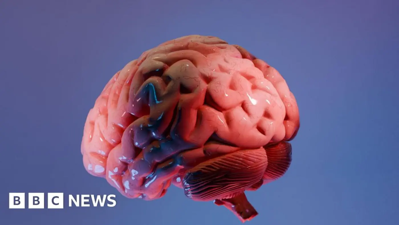 indian scientists produce most detailed 3d atlas of the human brainstem