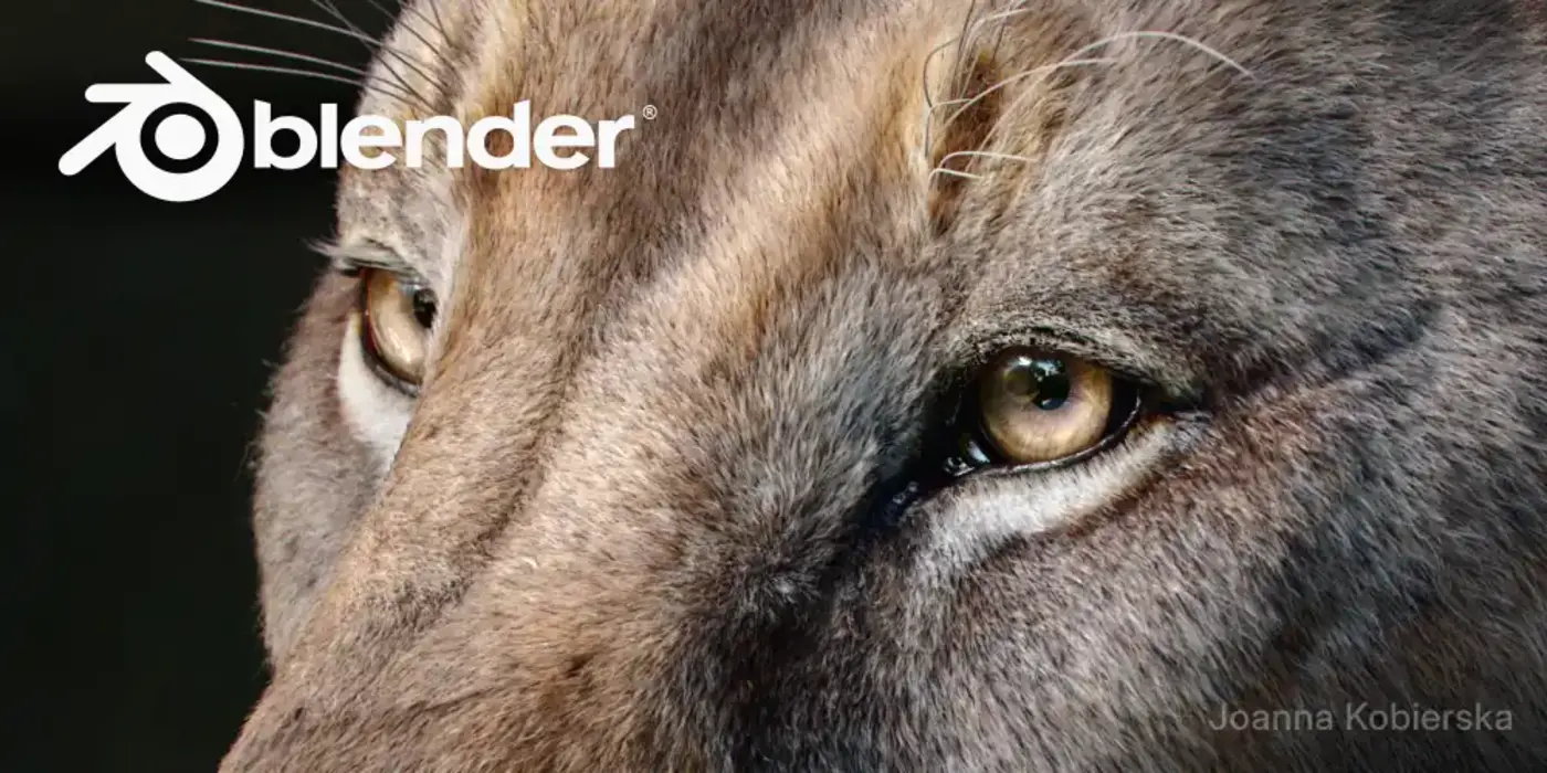 blender 52 lts