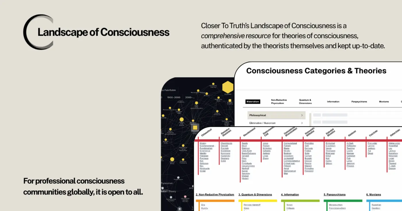 landscape of consciousness