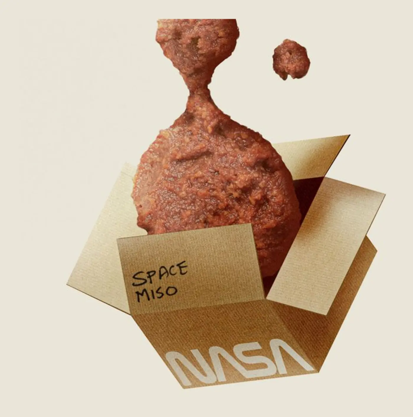 the miso that went to space