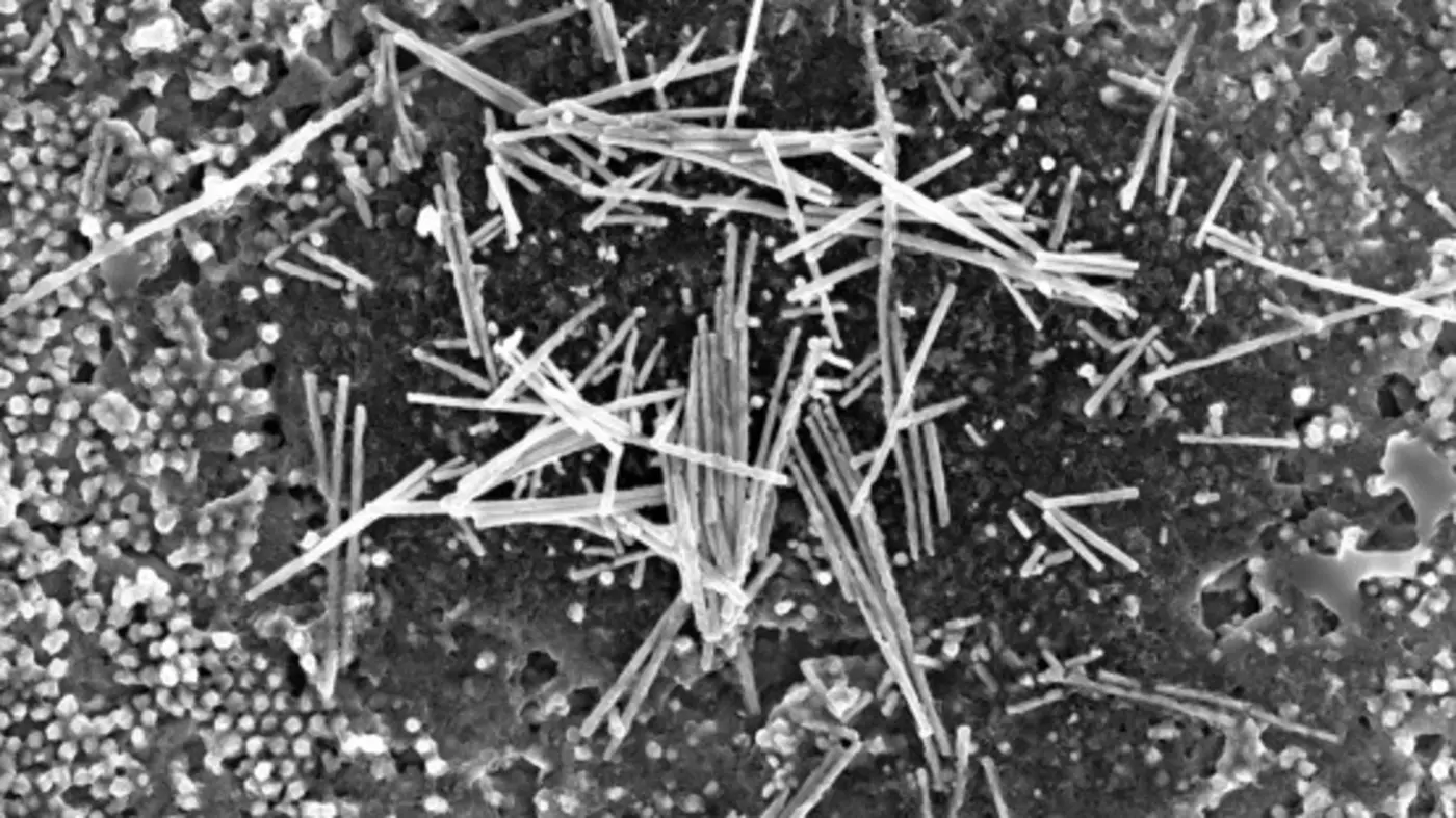 study singlecrystal nanowires of niobium arsenide may replace copper wires
