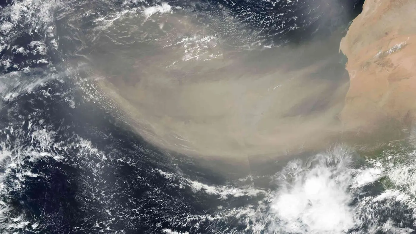 natural experiments prove phytoplankton carbon removal works