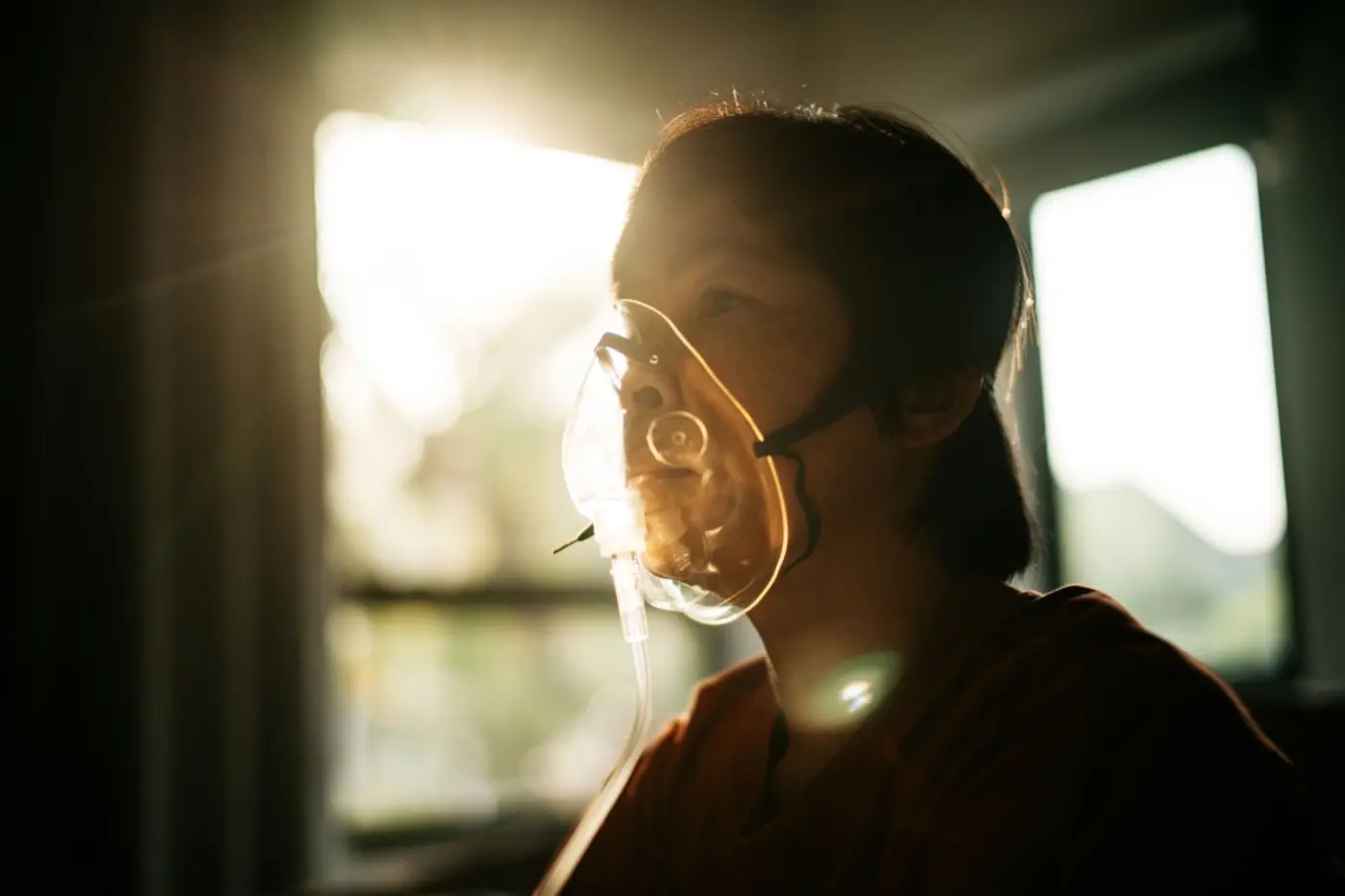 inhaling highdose co2 clears alzheimerx27s proteins from the brain