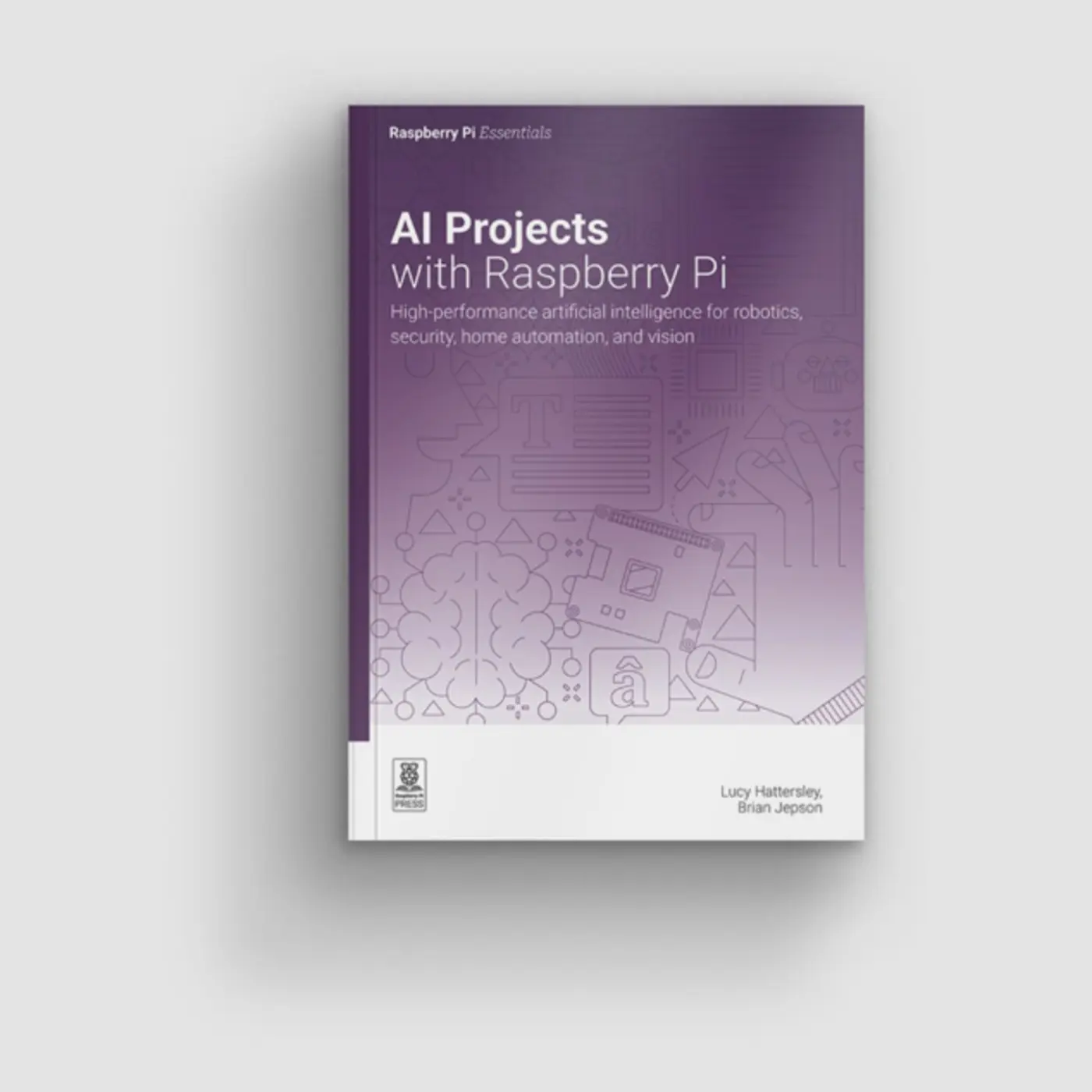 ai projects with raspberry pi