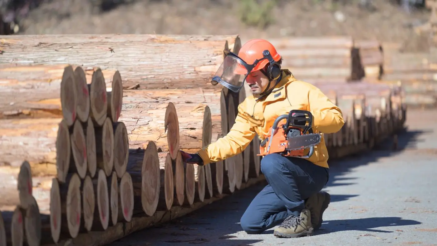 a third of serious workplace injuries in japan involve workers over 60