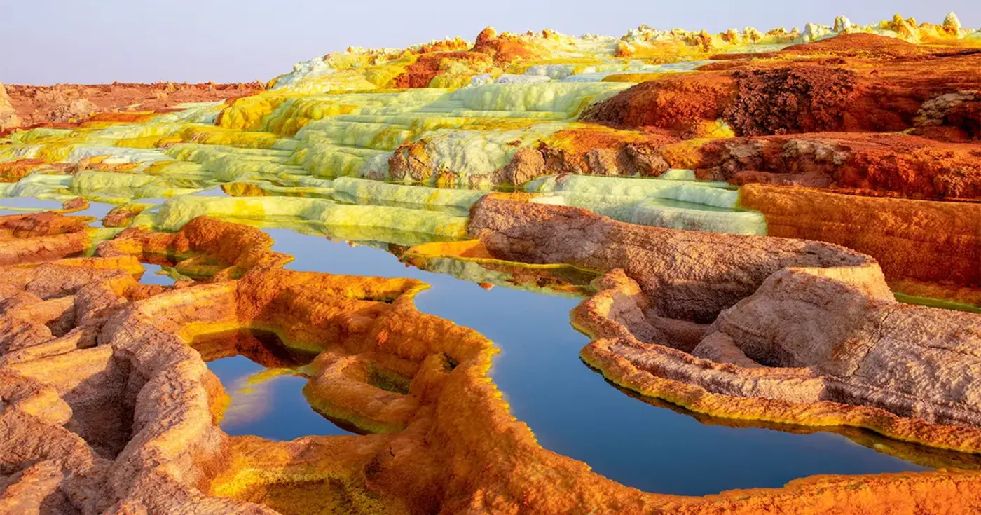 the organisms that make earthx27s harshest places home