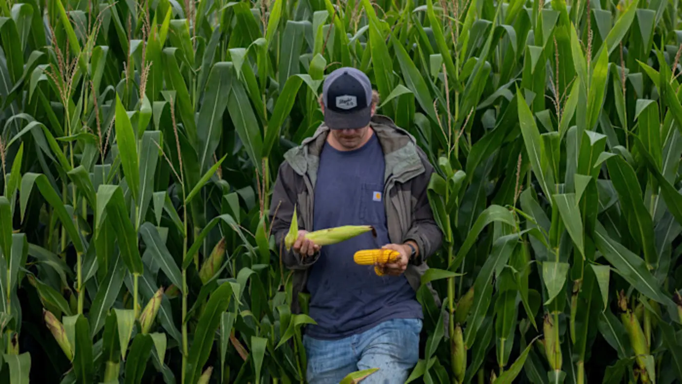 the fall of americax27s farm superpower