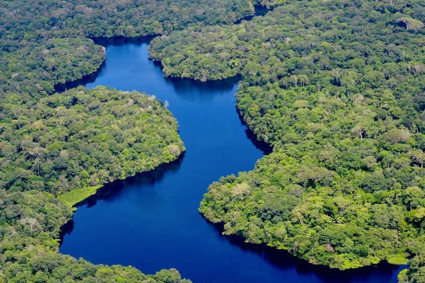 brazilian amazon sees sharp drop in acres burned