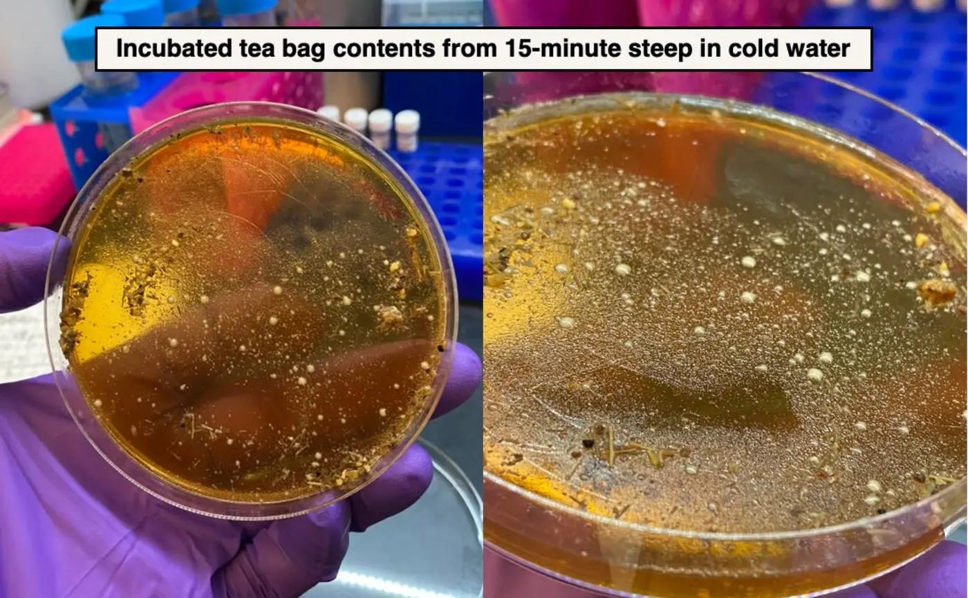 how to survive boiling water