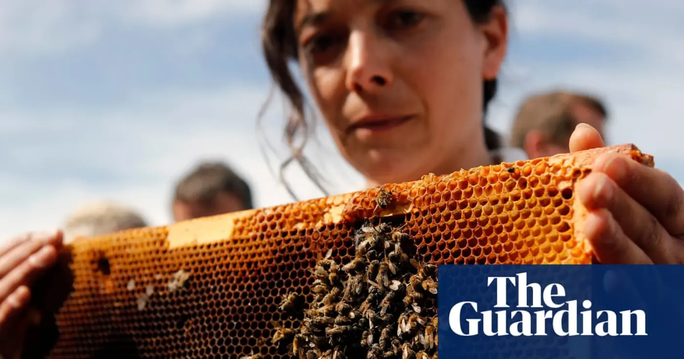french beekeepersx27 fury at lifting of pesticides ban