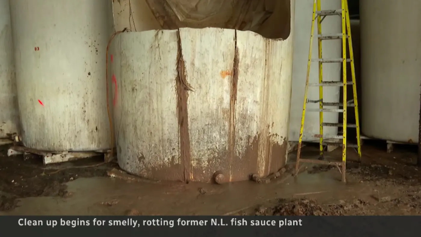 decadesold fish sauce at abandoned factory in canada finally being removed