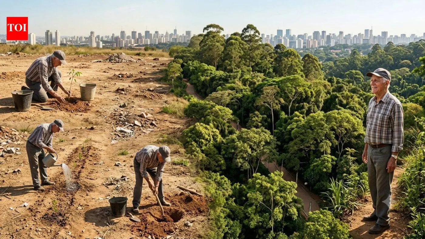 retired man plants trees on forgotten land now itx27s sao paulox27s largest park