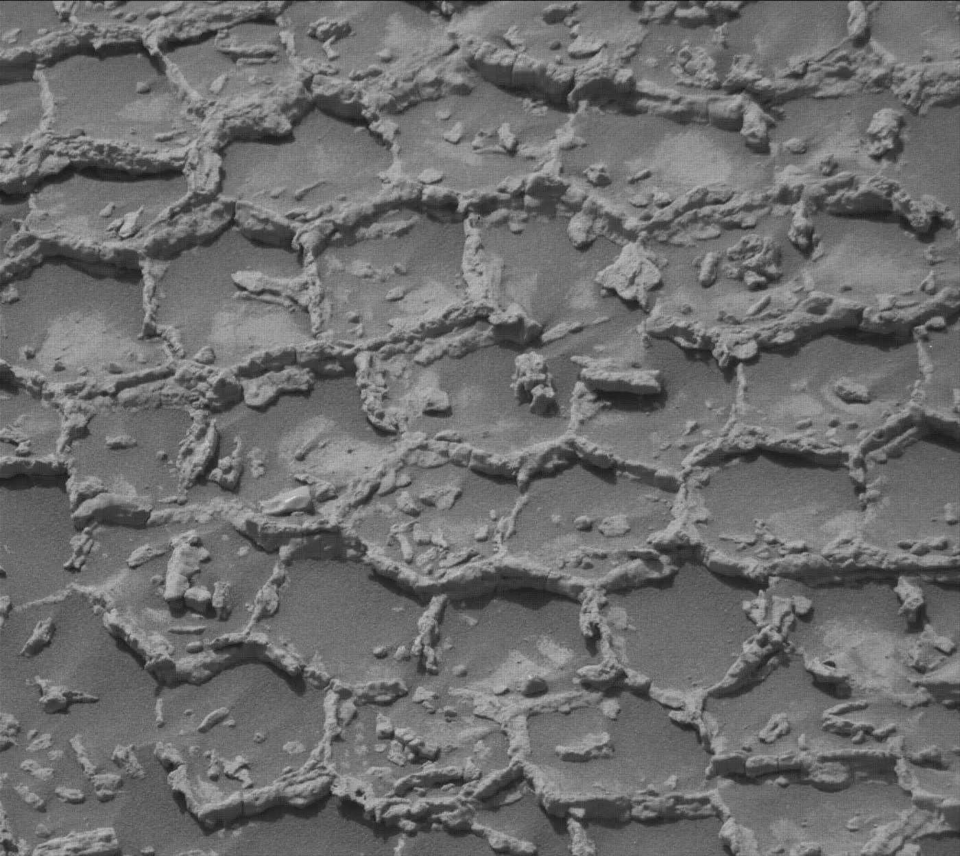 in the land of the polygons on mars