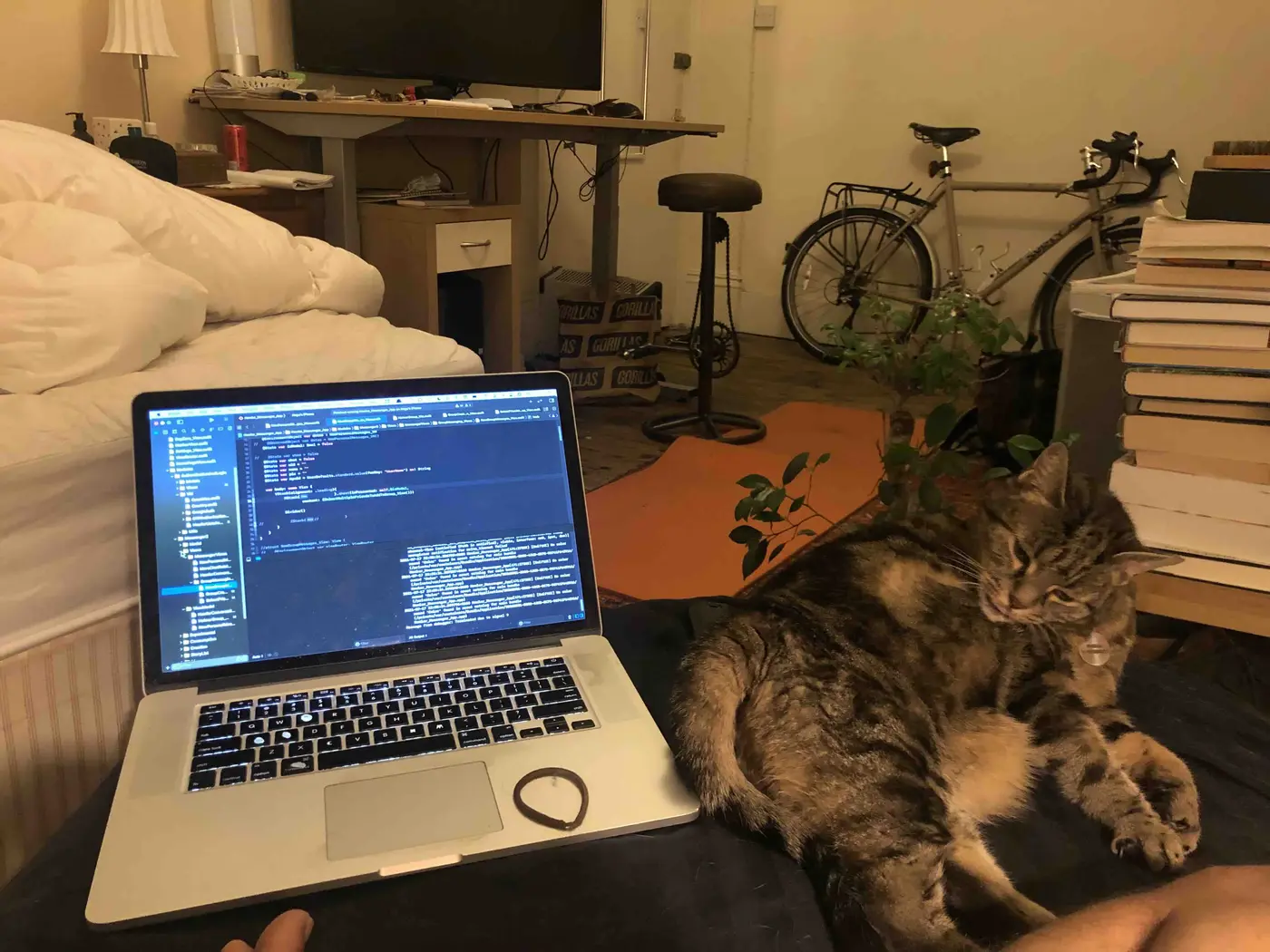 memoirs of a longtime luddite