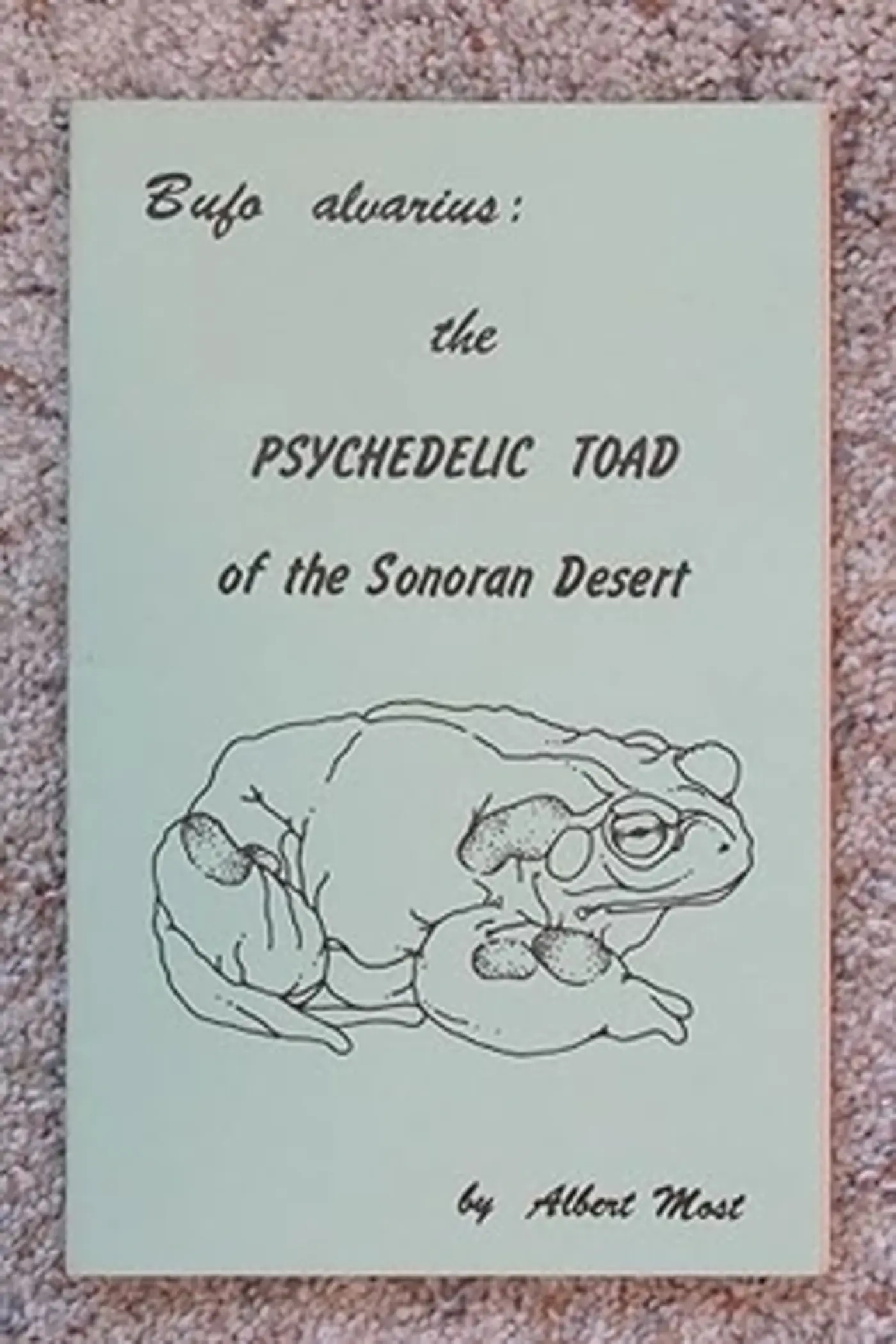 the psychedelic toad of the sonoran desert