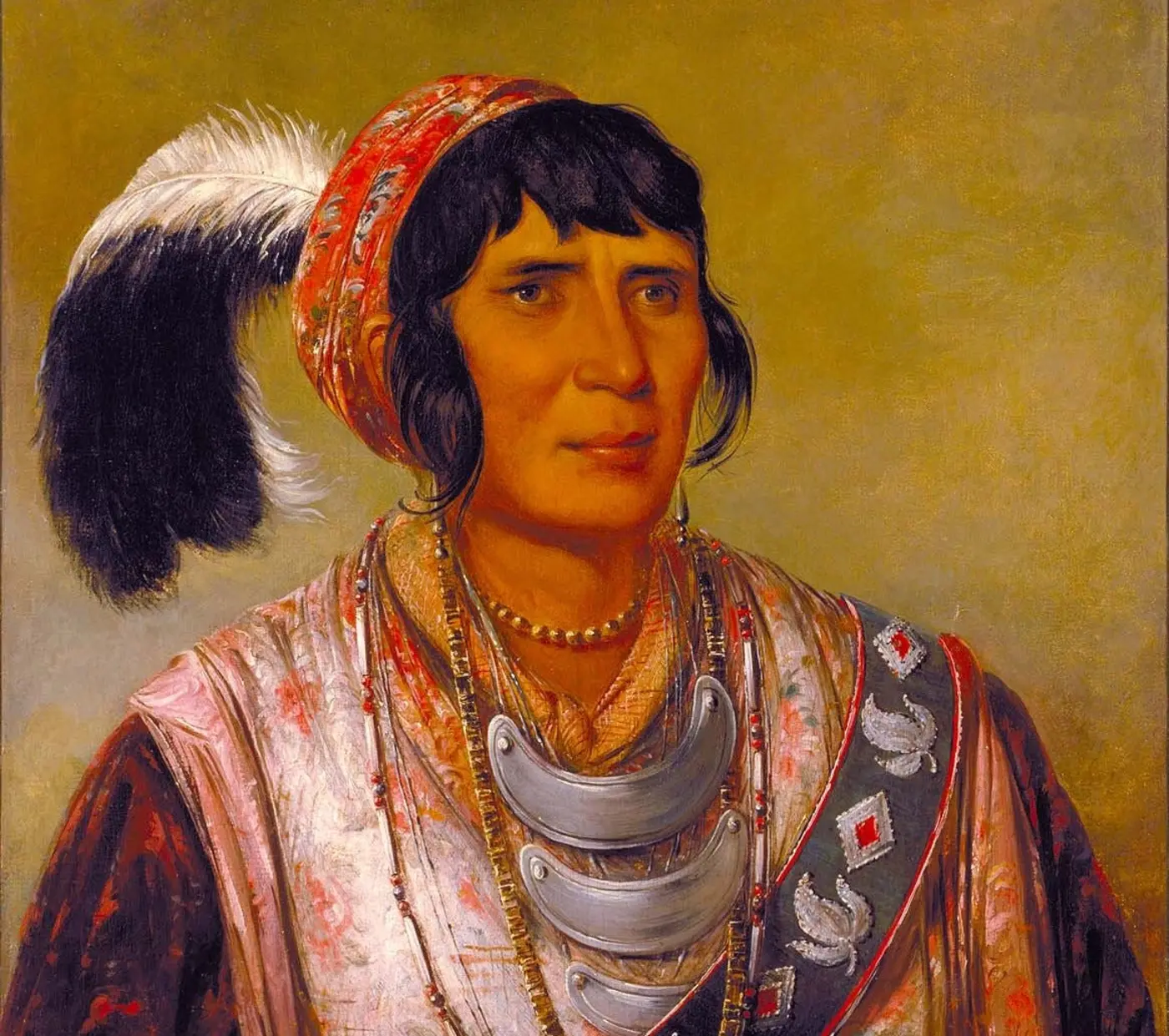 are native americans in the final stages of cultural eradication in the usa