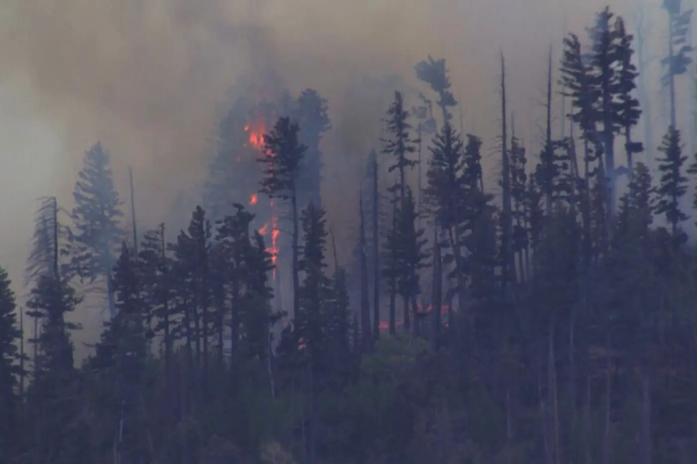 us military gps jamming operations cause civilian aircraft crash and wildfires