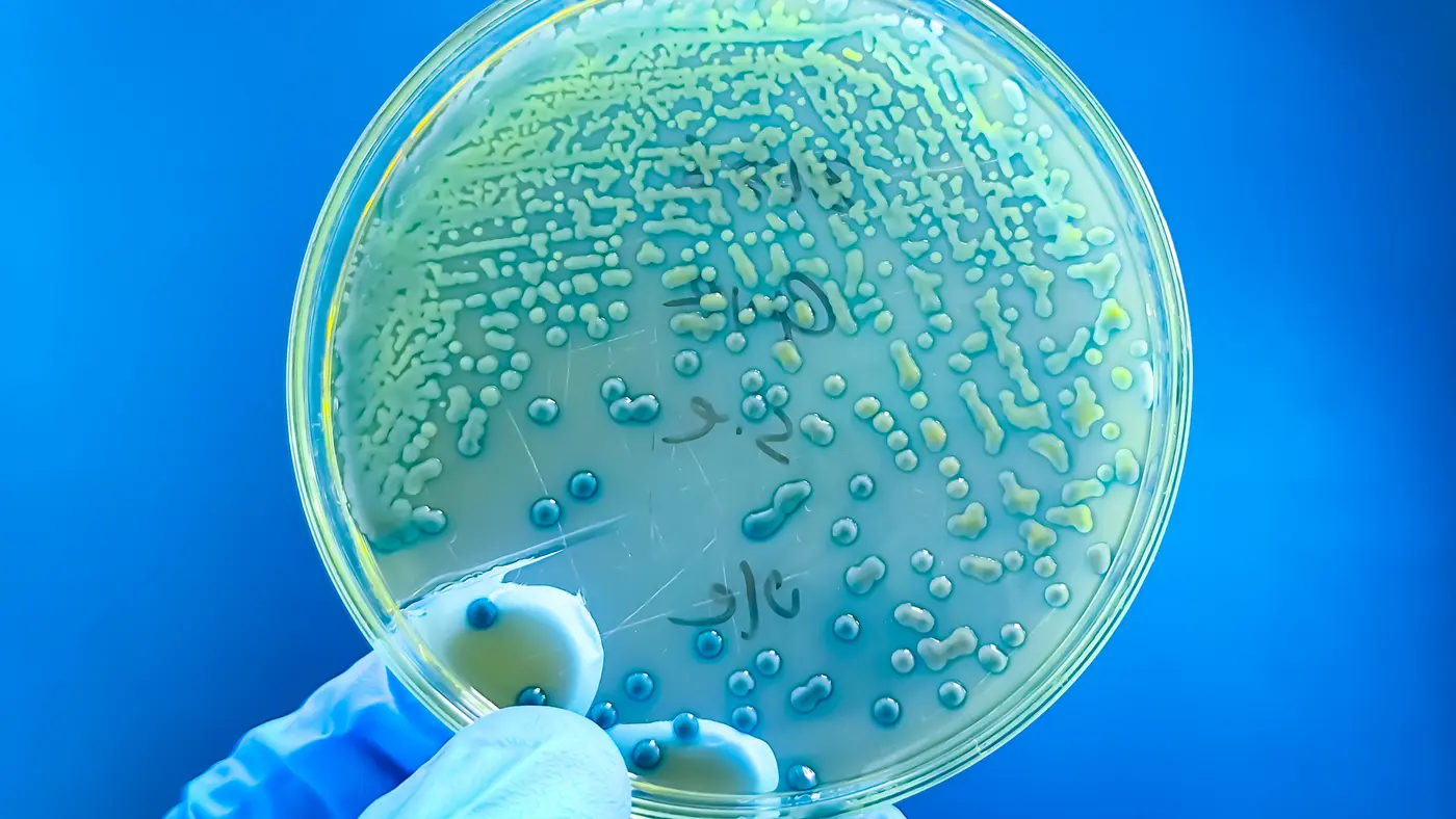antibiotic resistance in kids is rising around the world
