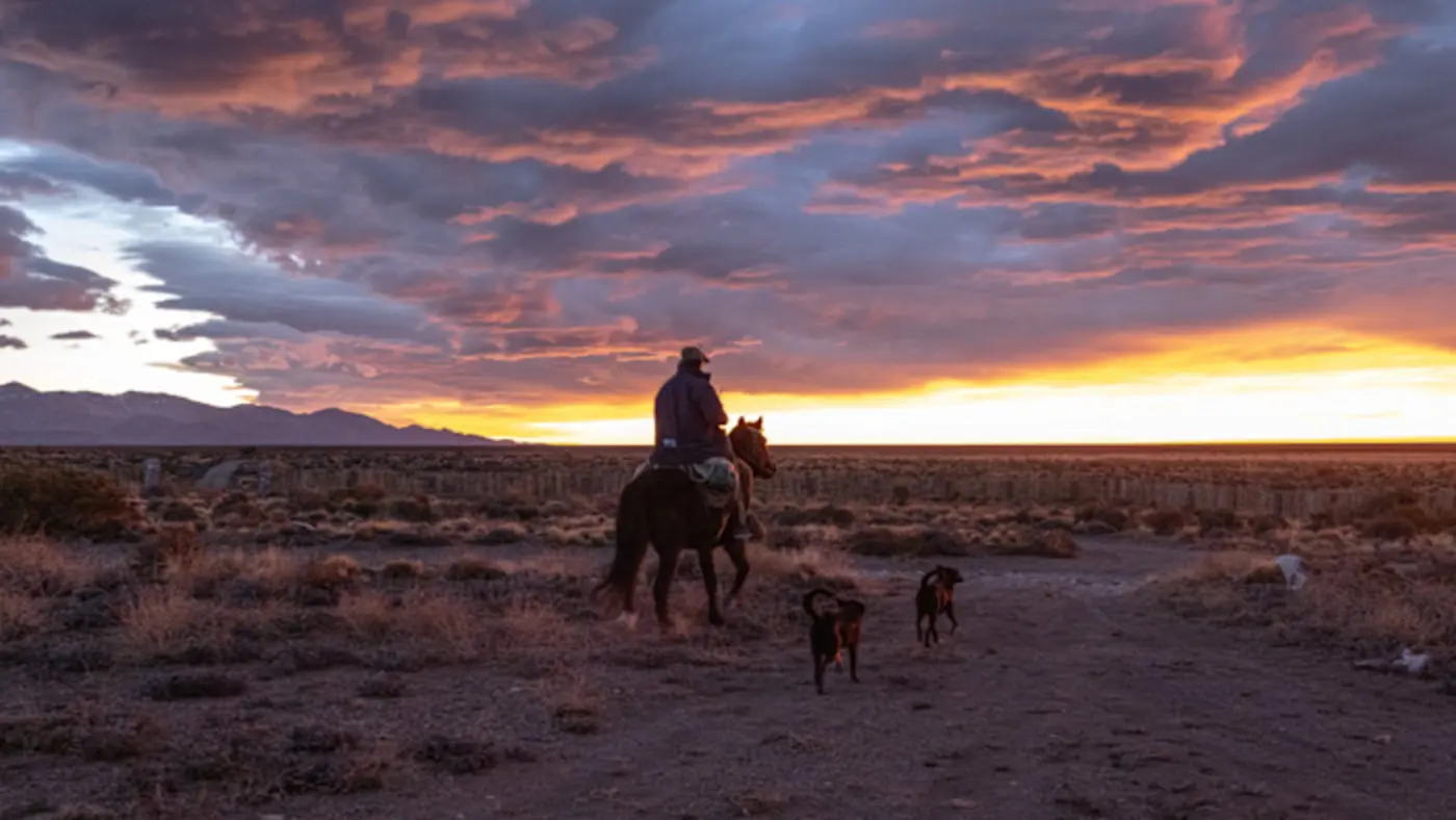 the argentine ranch where tech ceos plan to ride out the apocalypse